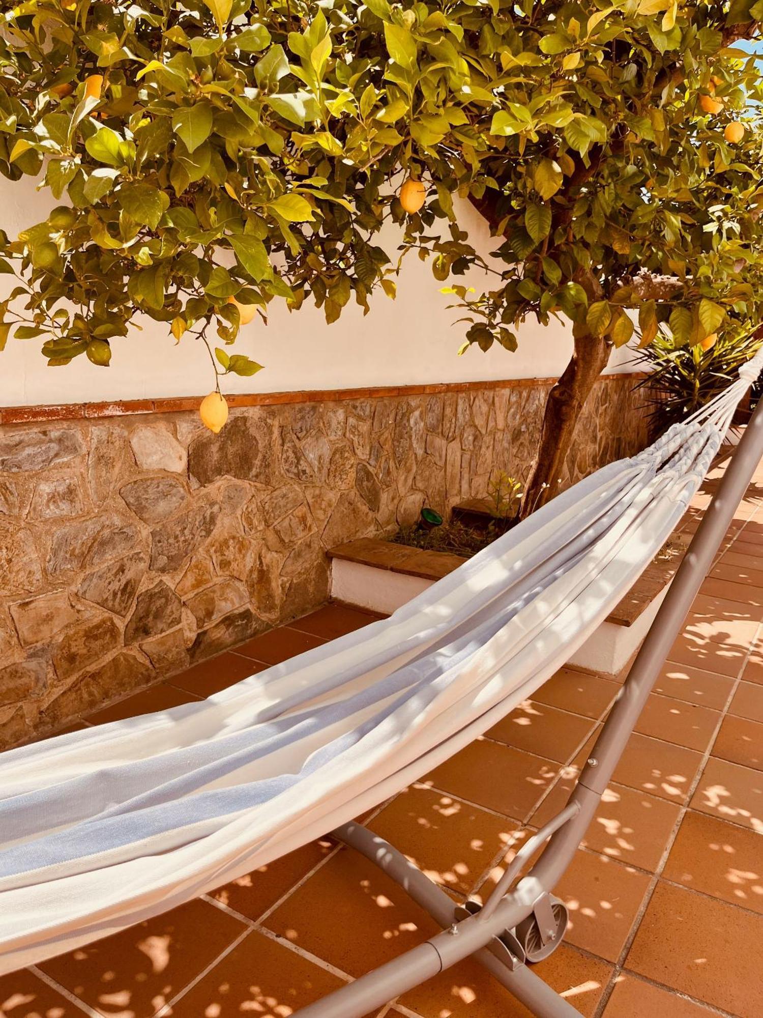 Casa Limon, Boutique Bed And Breakfast, Adults Only Alhaurín el Grande Extérieur photo